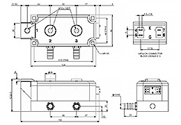 Outline of Dual Diode Module