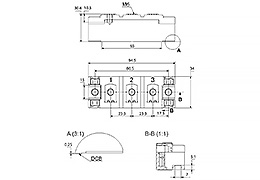 Outline of Dual Diode Module