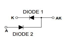 Circuit Diagram of Single Diode Module ND410635