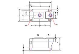 Single Diode Module LS813245